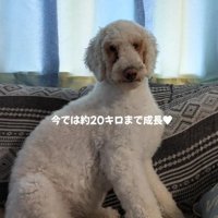 体重20キロになったよ！！