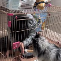 「ここは私の部屋だよ！！」