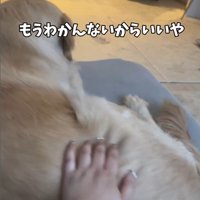 困惑する麹くん⑩