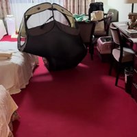 サークルが立ち上がり…