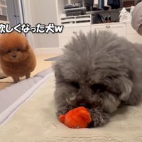 返してほしくてガン見（笑）