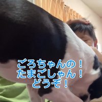 赤ちゃんが泣いた時のごろちゃん8