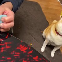 元の形に修復してみた