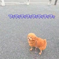 確かに唐揚げっぽい…！