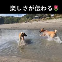 海で大はしゃぎ♪