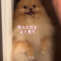 「行かないの？」