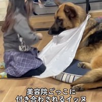 ファジーくん、悩んでる？