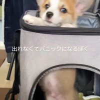 「？？」