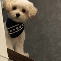 じーっ…