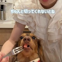 お上品にパクリ