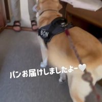 「パンのお届けでーす！」