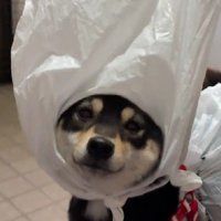 「これ、本当に必要…？」