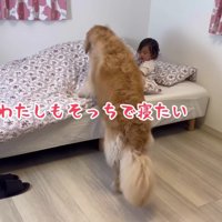 「やっぱりこっち！！」