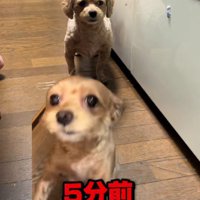 見事な無視…！！