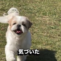 笑顔のピコちゃん