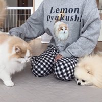 寄り添ってくれています♪