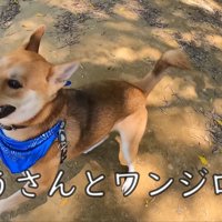 到着したらハイテンションに♪
