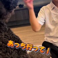 おもちゃを投げる男の子