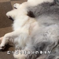 添い寝がやめられない♪