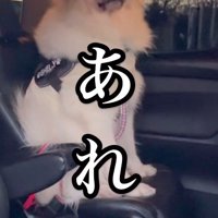 決意がゆらいだ…？