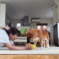 ヨガを邪魔する野々花ちゃん2