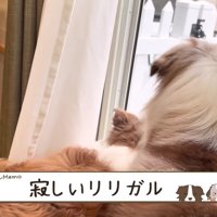 またすぐに会えるね♡