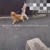 何かを見つけたみたい