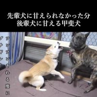 甘えん坊なハルヱちゃんの過去と現在4