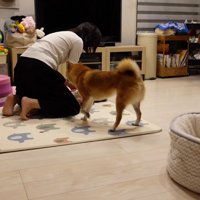 「食べちゃうぞー！」