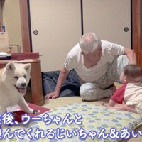 赤ちゃんと遊ぶことも
