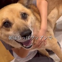 おふとん君の変化9