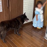 そろそろ出発の時間…