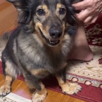 笑顔のマックくん