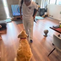 尻尾がちぎれそうなエルちゃん