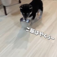 お皿をくわえています！