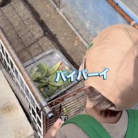 完全無視の亀さん