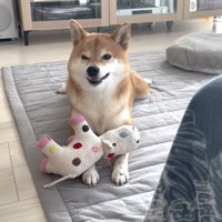 健気な姿にほっこり♡
