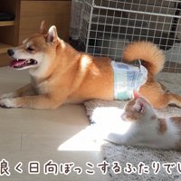 最後は仲良く半分こ♡