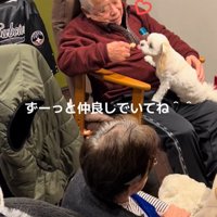 おじいちゃんと小型犬