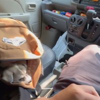 正式に家族になりました♡