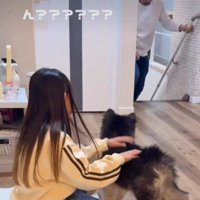 何も知らないパパが帰宅