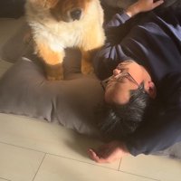眠っている男性の顔を見つめる犬