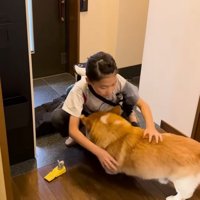 悲しむジノちゃん…
