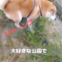 少しずつ体調に変化が…