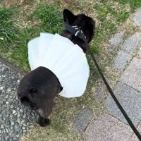 スカートがめくれちゃった♡