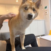 「雨降っとるやん…」