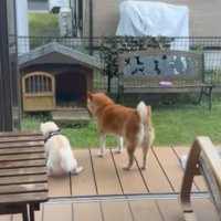 無事