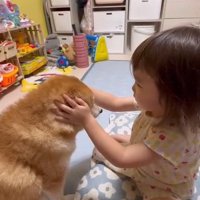 すずちゃんの耳を押さえる娘さん
