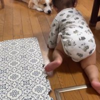 赤ちゃんを見守るまる君2