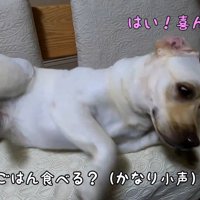 くるりと華麗に半回転♪